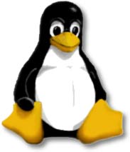 Computer Languages History
