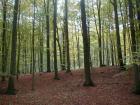 Liebnitzsee