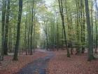 Liebnitzsee